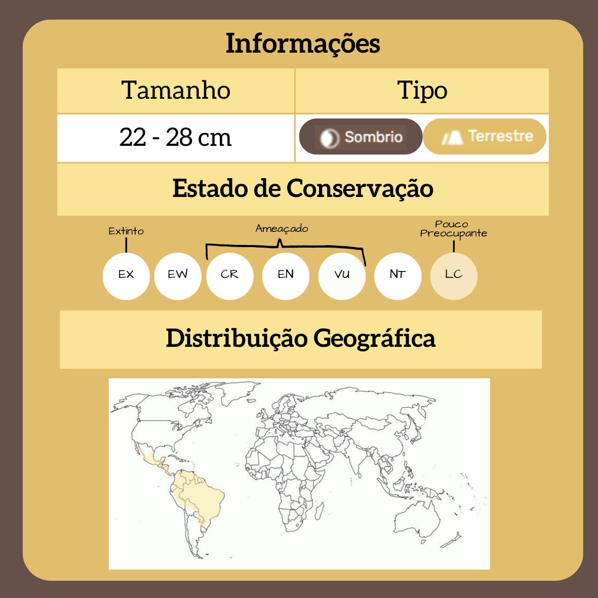 biodex_l's tweet photo. Curiango-Comum (Nyctidromus albicolis)

◾ No universo Pokémon, este organismo seria do tipo: Sombrio ⚫| Terra 🟤

#biologia #natureza #ciencia #bio #meioambiente #ecologia #biodiversidade #zoologia #botanica #animais #biologo #pokemon #anime #animalia #nyctidromusalbicolis https://t.co/EUddDgaHRm