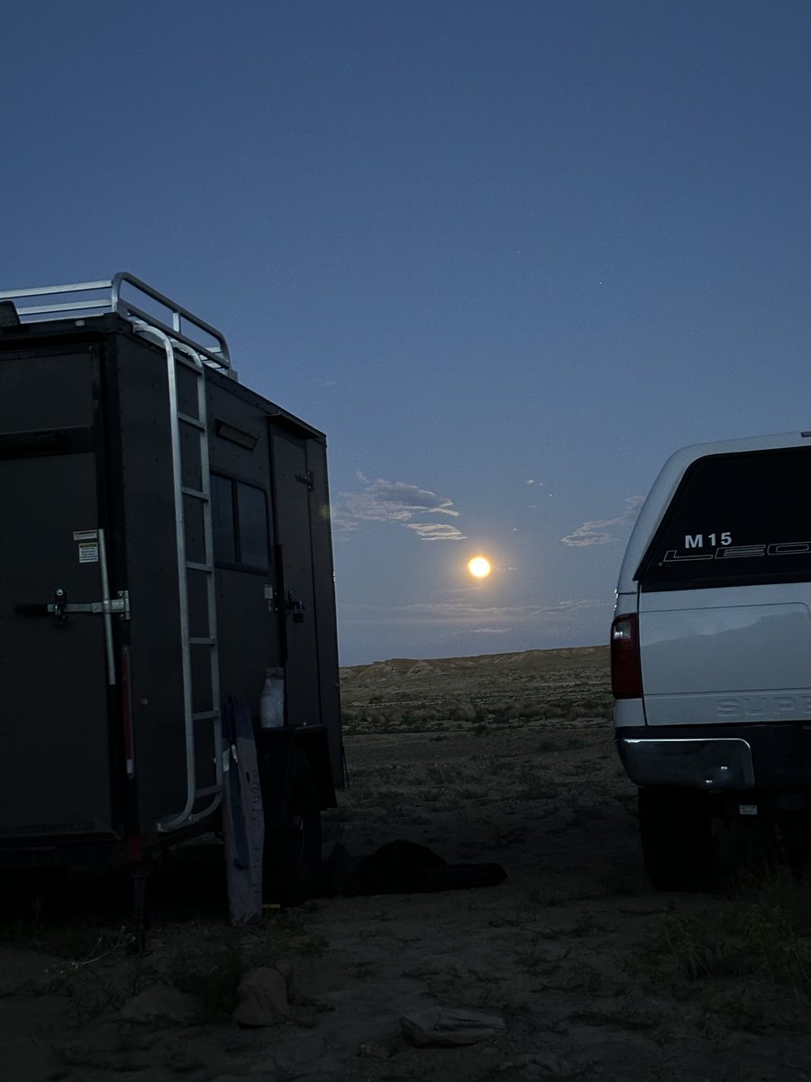 DAY-12: #Menefee_ceratopsian_dig Starting to wrap up the unrecovered elements. A day was mostly plastering and a full moon is shining in the evening. #dinodig23 #ExpeditionLive @Bwana_Lund @palaeontolojosh @kyle_obuszewski