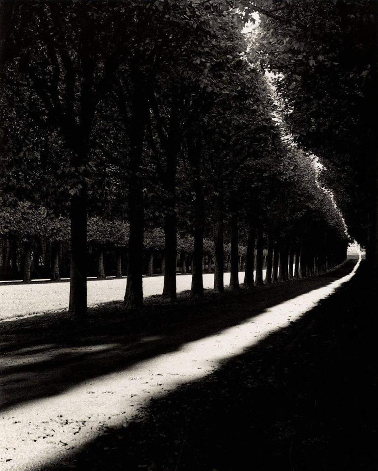 'Paths are made by walking.'

Franz Kafka

📷Michael Kenna