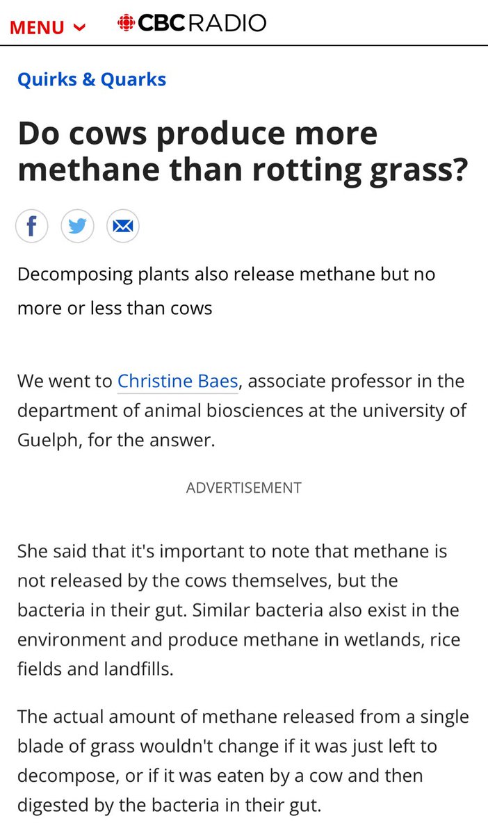 FUN FACT: Grass will decompose and produce methane whether a cow eats it or not!!