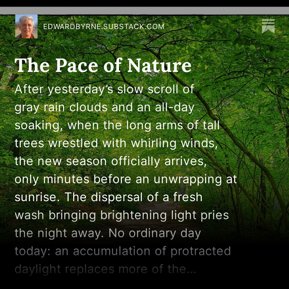 valpopoetry tweet picture