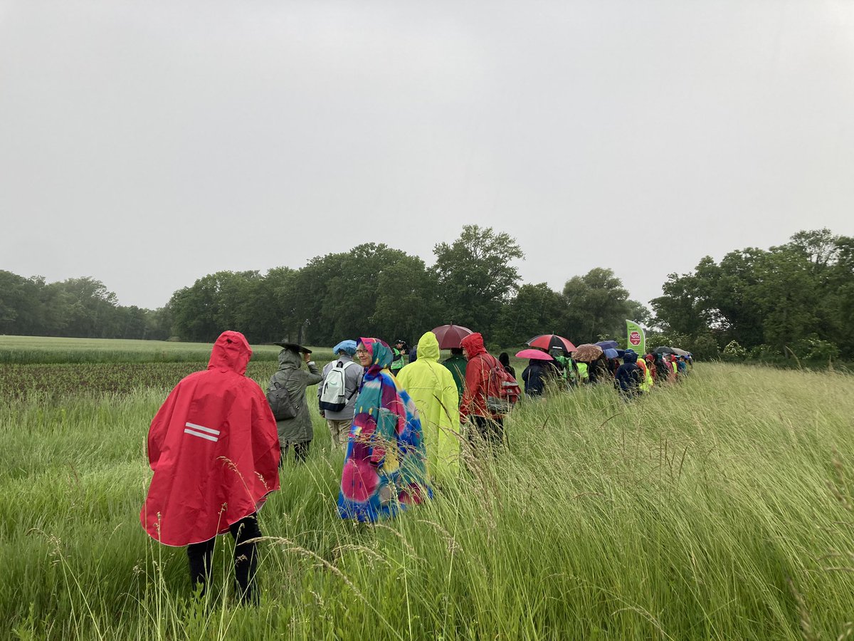 Auch der strömende Regen hat heute über 100 Menschen nicht davon abgehalten, heute gegen die #Ostumfahrung bei Wr Neustadt zu protestieren - auf den Feldern, die dafür versiegelt werden sollen
#NaturStattBeton
<a href="/Vernunft_WN/">Vernunft statt Ostumfahrung</a> <a href="/Klimacamp_at/">Klimacamp bei Wien</a>