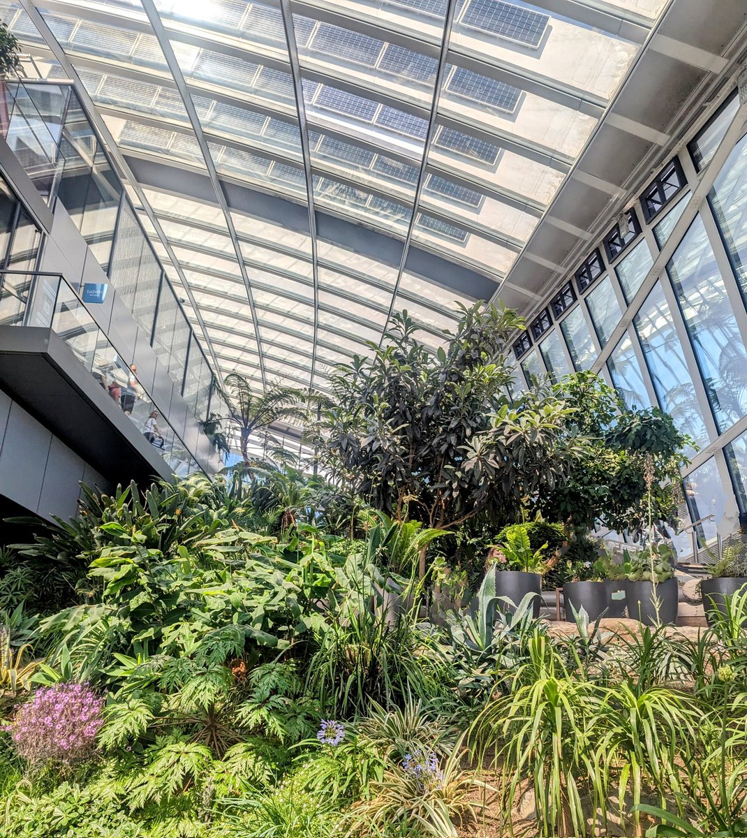 gorgeous weather in London &amp; great views from <a href="/SG_SkyGarden/">Sky Garden</a>