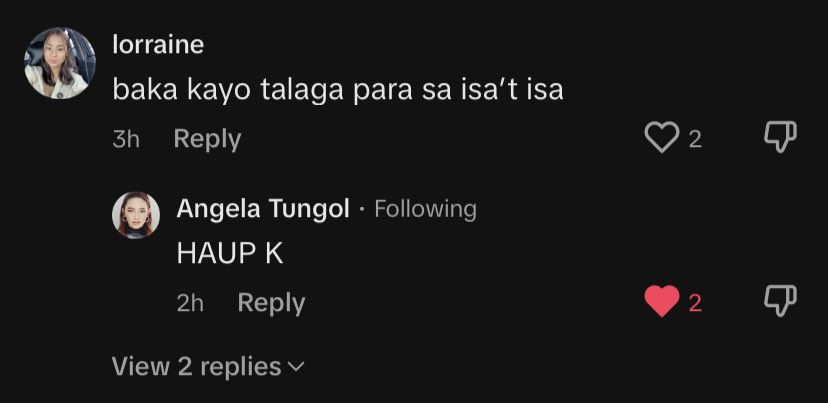 isang malaking karangalan po ang masabihan ng “haup k” ng isang rolyn angela 🙇🏻‍♀️