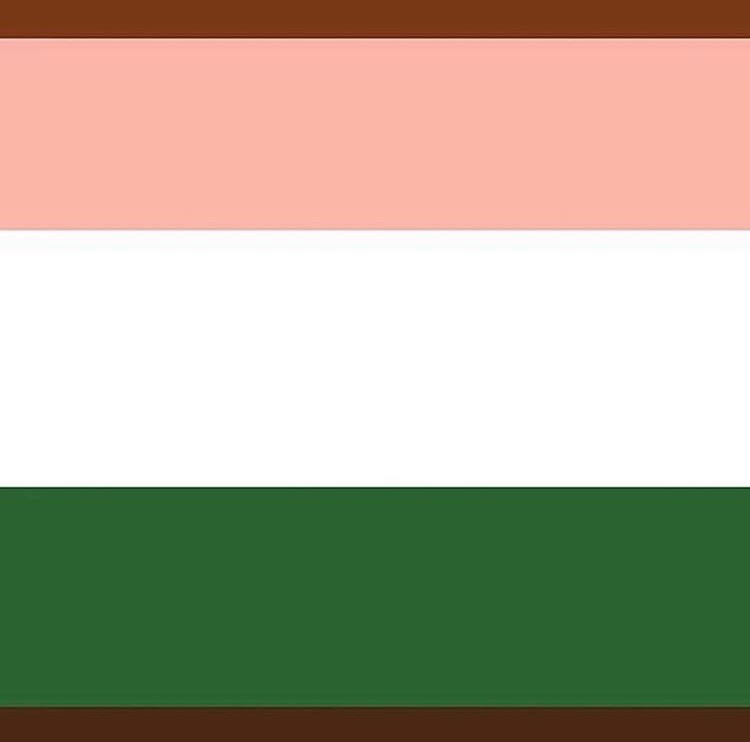 operagxofficial you forgot the peter griffin flag