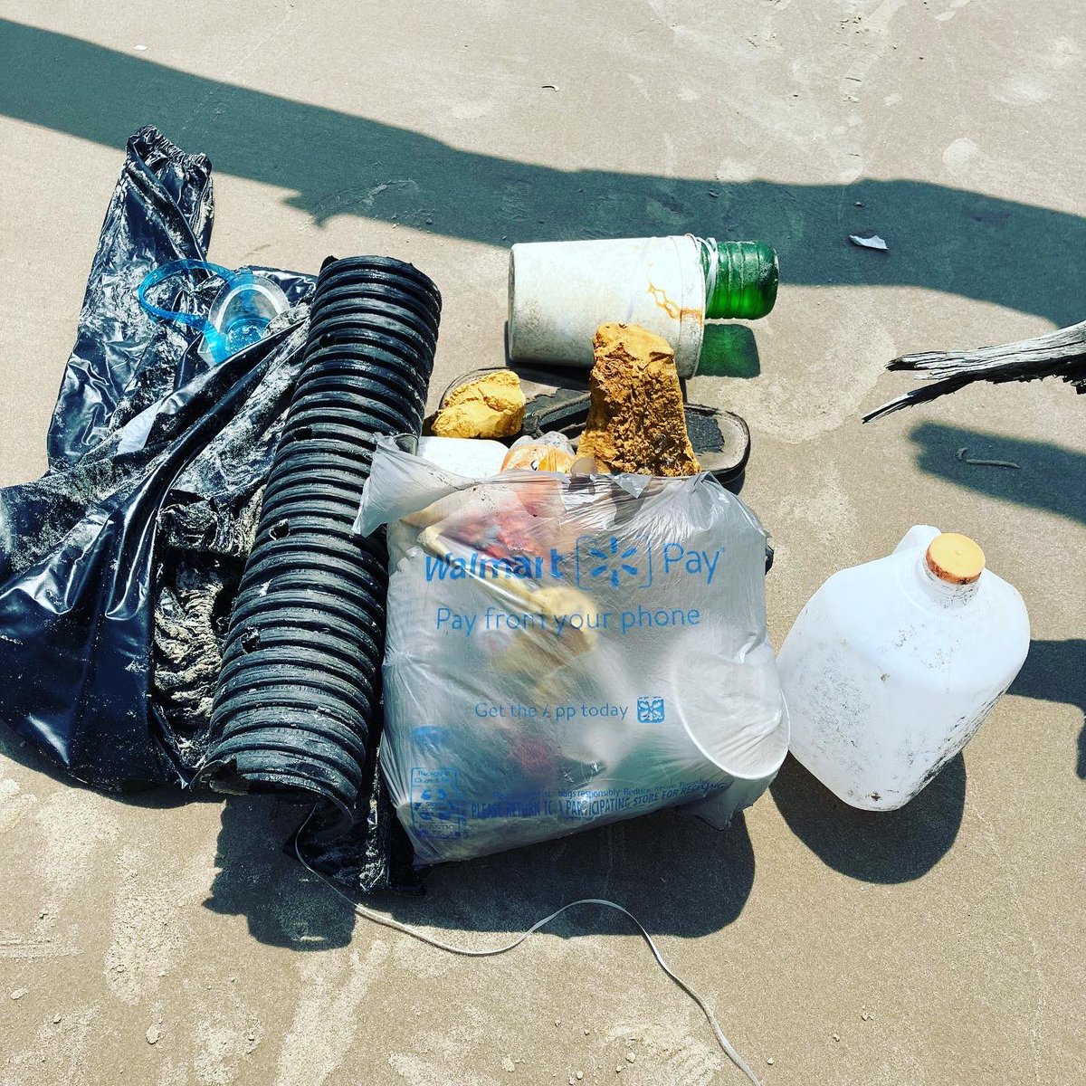 Did some exploring on #BoneyardBeach at #BigTalbotIsland.
Also picked up a _lot_ of trash on a two hour walk.
#DontLitter #CleanUpAfterYourself #ProtectTheOcean #KeepTheBeachClean