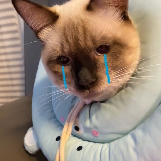 LOUIS ​LEON LEVI PROTECT (@ll_protect) on Twitter photo 