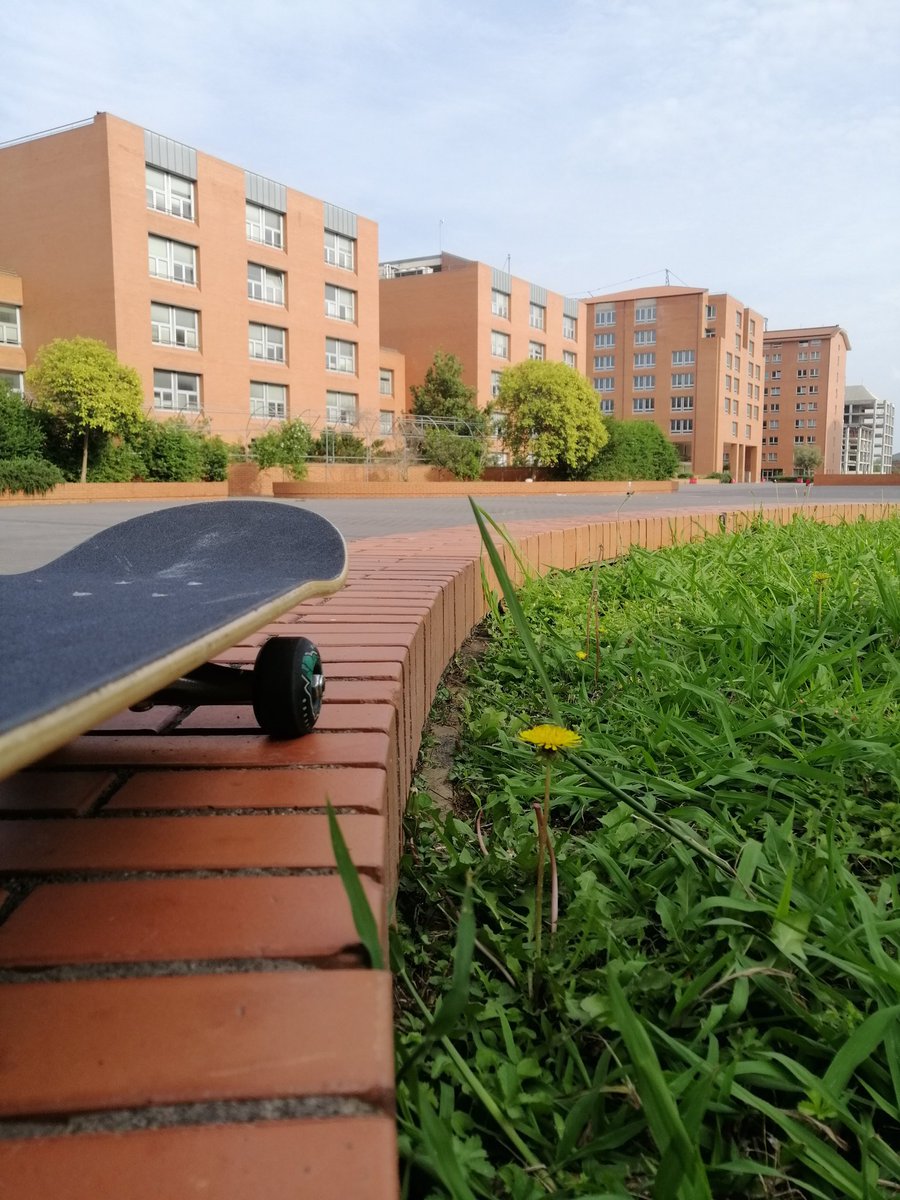 __contempt's tweet image. Skate con la mia compagna e sua figlia 💕 good vibes.