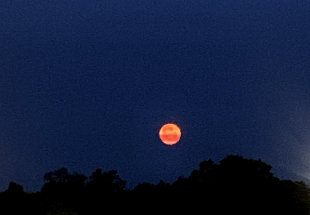 Got a glimpse of Strawberry Moon at 5AM today😃