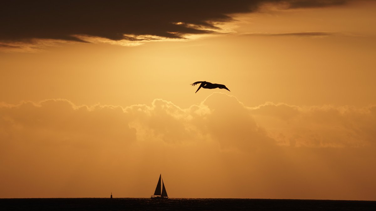 Sunset #SundaySunsets #sunset #sunsetlovers @_sundaysunsets_ #sunsetlovers #sundayvibes #PuertoVallarta