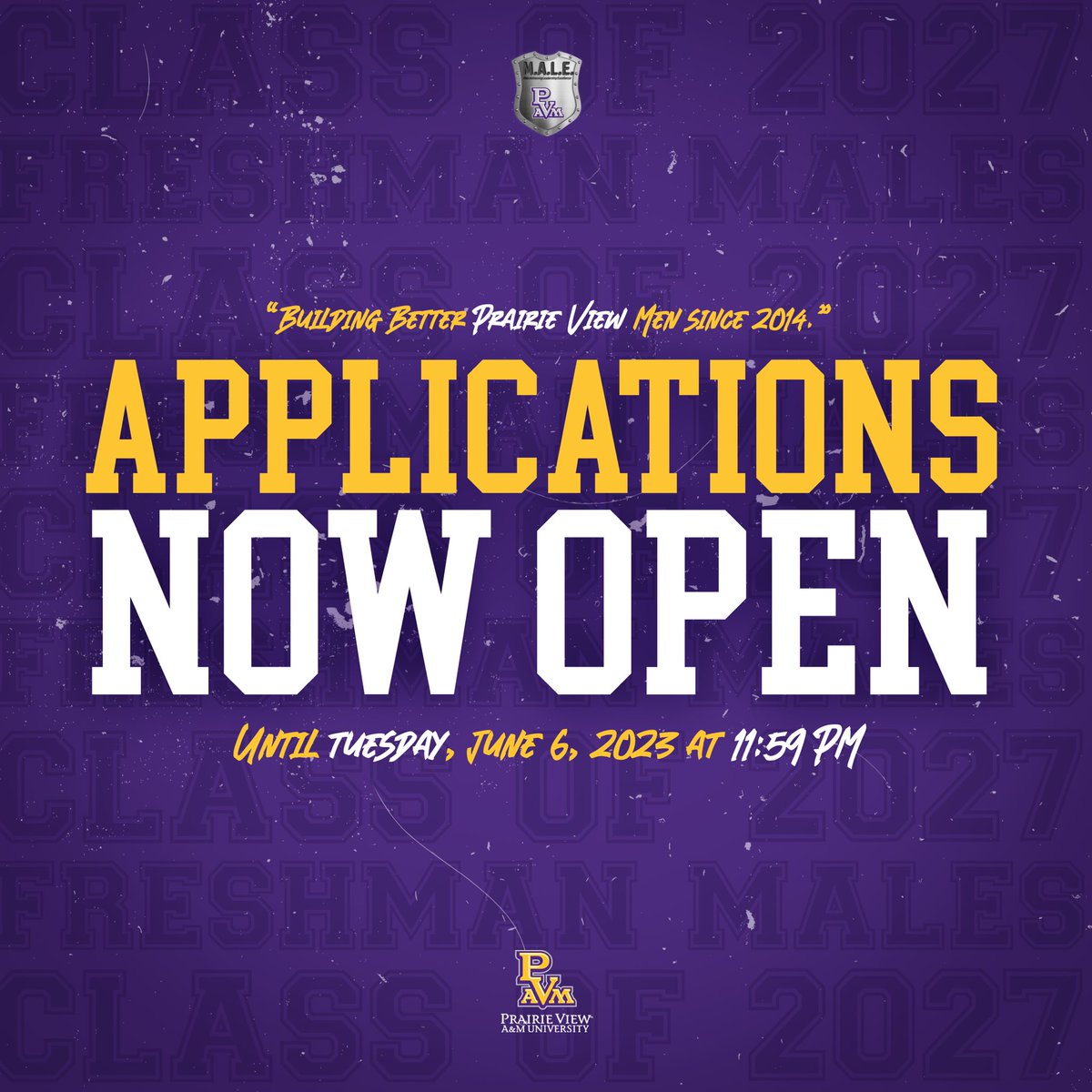 The MALE Mentor application is NOW OPEN in PV Paw Link until this Tuesday at 11:59 PM. ⏳ 

Don’t miss this opportunity to help advance the Freshman Class of #PV27! 

pvpawlink.pvamu.edu/submitter/form…

Building Better Prairie View Men Since 2014.
#PV24 #PV25 #PV26