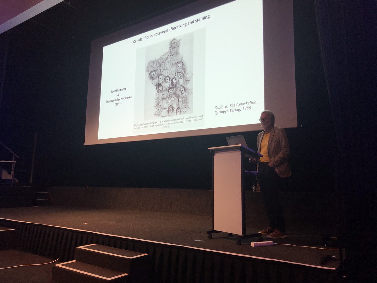 #EuroIF2023 Harald Herrmann (Erlangen) shares his perspectives on the past and future of intermediate filament protein research!