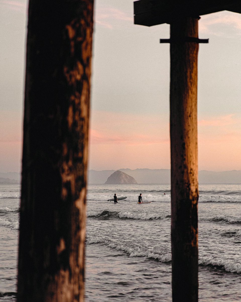 Dane Deaner tweet media