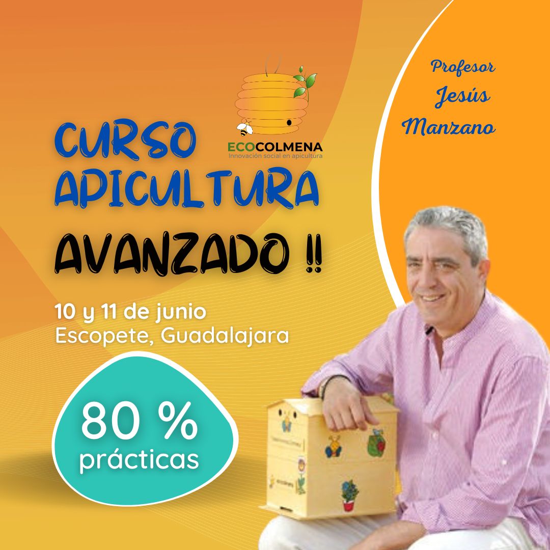 El próximo fin de semana comparto ciencia y experiencia en el curso avanzado de apicultura. ¡No pierdas la oportunidad de mejorar tus habilidades! Últimas plazas! Inscríbete en ecocolmena.org/eventos/curso-…