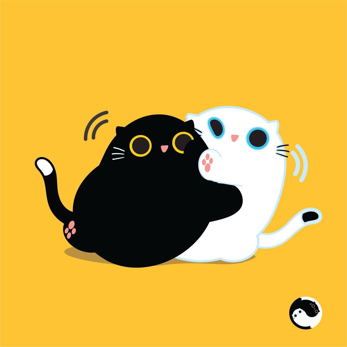 •
😽🫶🏻
วันกอดแมวสากล 
National Hug Your Cat Day
.
#catlover #catday #cats_of_world #yinyangthecat #yinyang #catnationalday