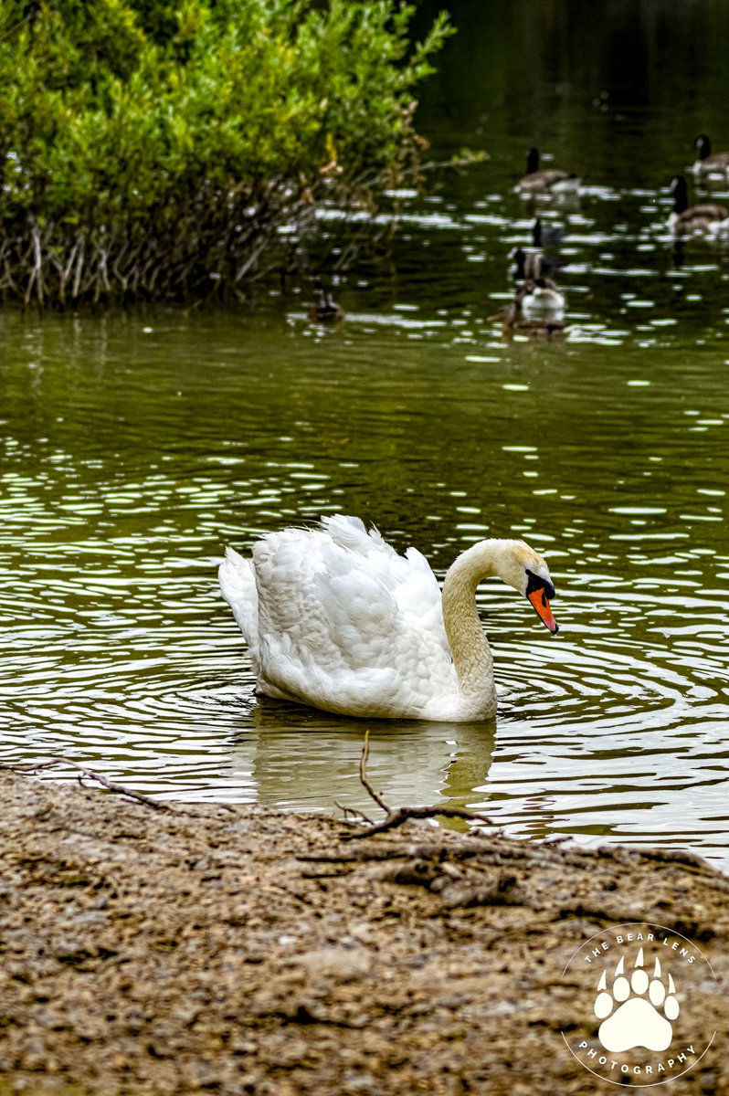 #nature #naturelovers #photography #instaphotography #travelphotography #portraitphotography #streetphotography  #flowers #beautifulflowers #naturelove #closeupphotography #flowerslovers #livephotography #natureaddict #naturephotography