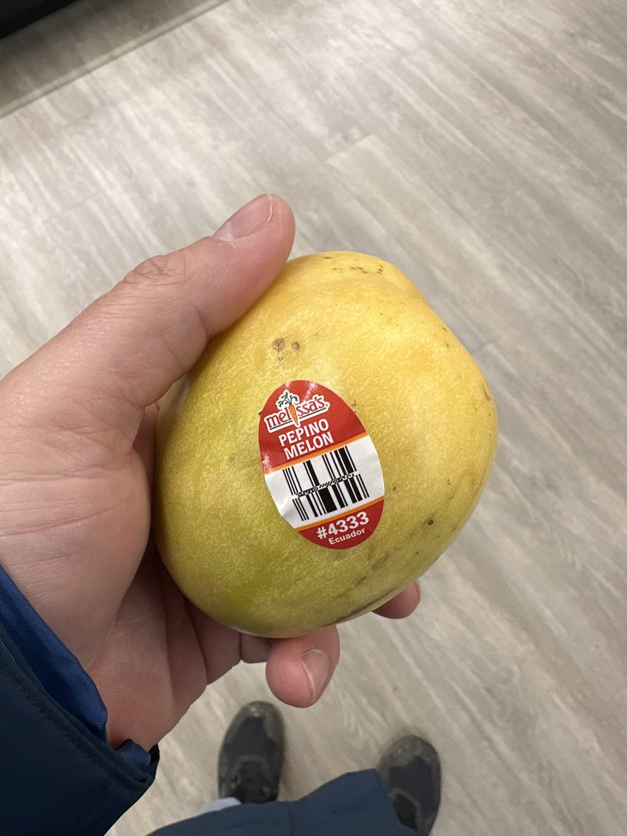 MoshJoody's tweet photo. The much anticipated fruit reviews are back and we started with a pepino melon. Pepino melons are native to New Zealand and Australia. After my review, I’ve come to the conclusion that they should stay there. This fruit is trash, 1.4 (out of 10). Thanks for showing up. https://t.co/IKRbqDh8Qi
