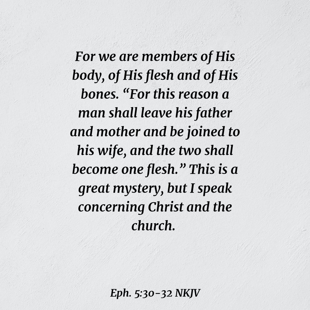 savedgirl316's tweet photo. The Bible shows why homosexuality, adultery, fornication, "transgenderism" etc. are all sins.
Marriage between one man and one woman is a picture of Christ and His Church (the Bride of Christ).
Sexual sin is a perversion of the relationship between Christ and His Church.
#Eph5 https://t.co/hBASVm4r2J