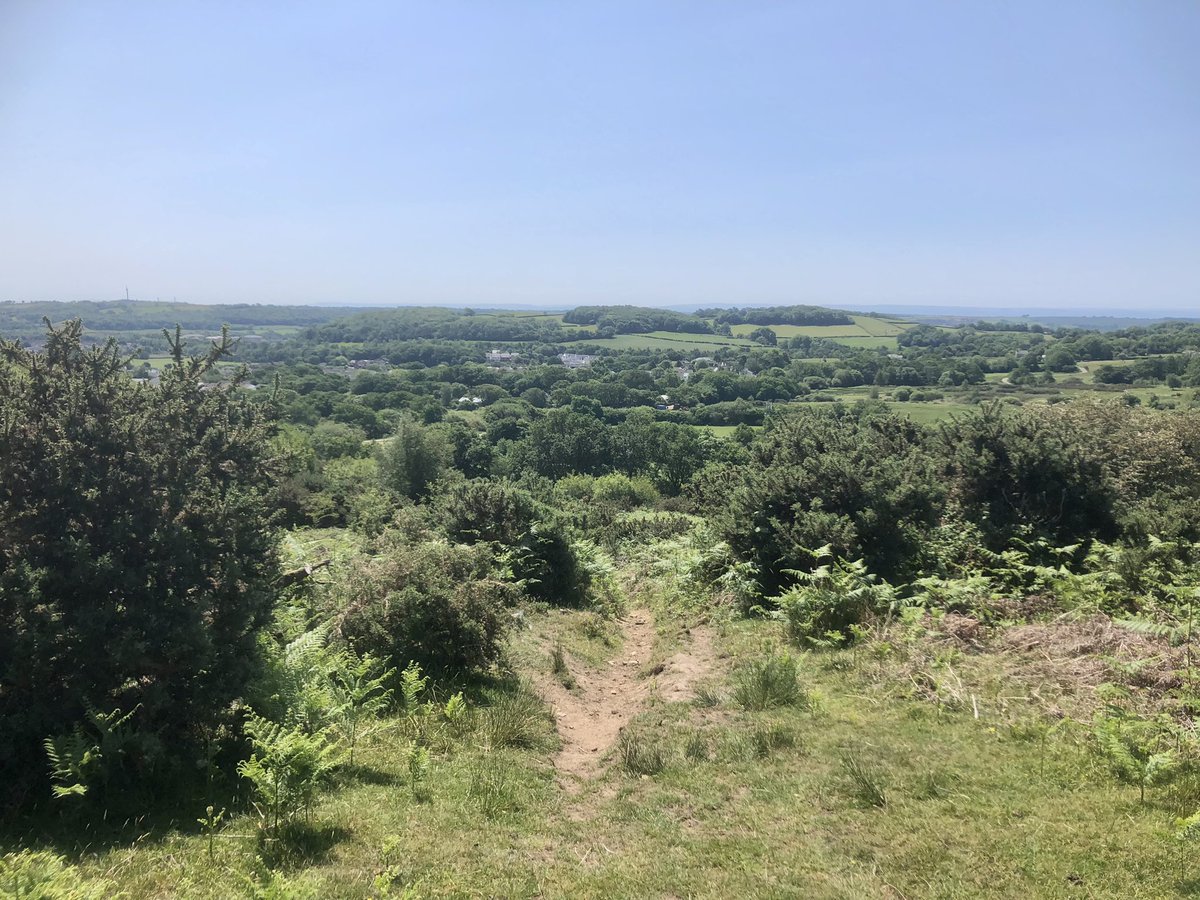 stubo37's tweet photo. @SlowWaysUK adventure today crossing #OpenAccessLand on #CoityWallia Common from #Pencoed to #Sarn. Felt like exercising my #CommonersRights to collect bracken for bedding to snooze in the sun. ๐ฅพ๐ฅพ๐ค#SundayFunday #SummerVibes #Bridgend #RightsOfWay
https://t.co/f7OJTF4s7J https://t.co/kjznSMXidL