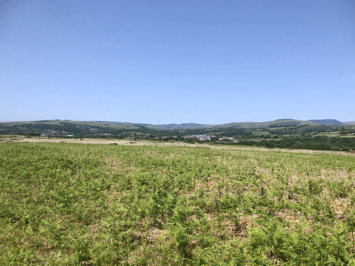 stubo37's tweet photo. @SlowWaysUK adventure today crossing #OpenAccessLand on #CoityWallia Common from #Pencoed to #Sarn. Felt like exercising my #CommonersRights to collect bracken for bedding to snooze in the sun. ๐ฅพ๐ฅพ๐ค#SundayFunday #SummerVibes #Bridgend #RightsOfWay
https://t.co/f7OJTF4s7J https://t.co/kjznSMXidL