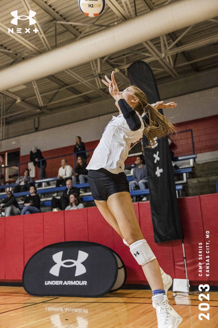 Elle Davis tweet media