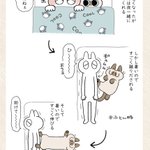 暑くなっても一緒に布団で寝てくれるものの･･･!とっても可愛い「猫漫画」が話題に!
