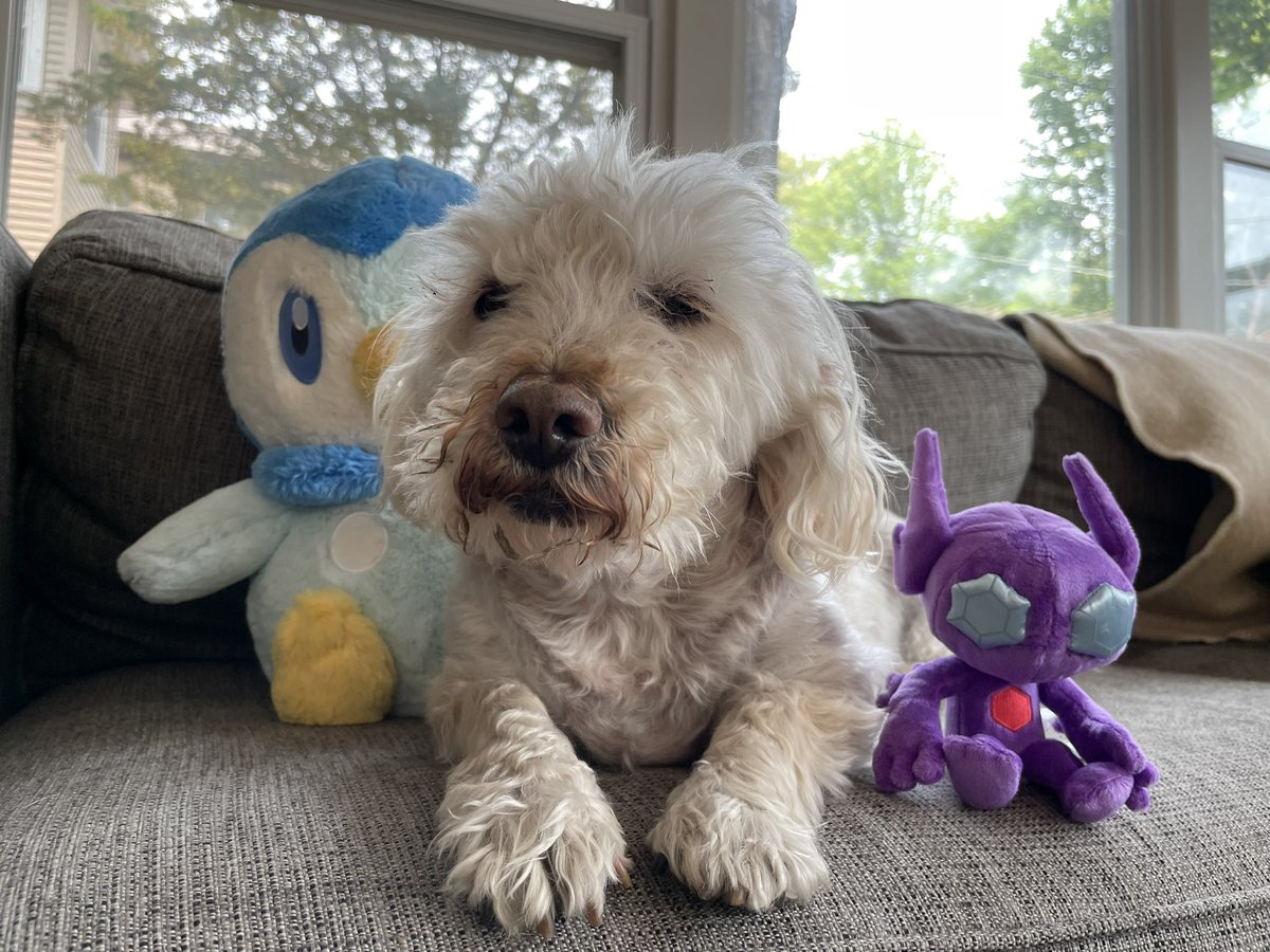 Good luck to our friend Bark88…I mean Balk88 in today’s #PlayPokemon Top 8!