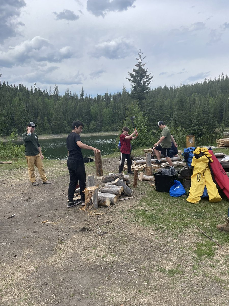 Dead Pine Collective tweet media