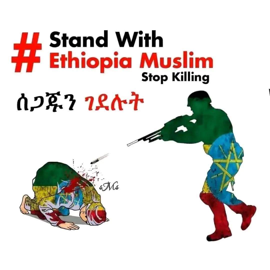 Stop killing Ethiopian muslims

#EthiopianMuslimsUnderAttack
#JusticeForEthiopianMuslims
#ReligiousFreedomInEthiopia
#StopMosqueDemolition
#SupportEthiopianMuslims
#IslamophobiaInEthiopia