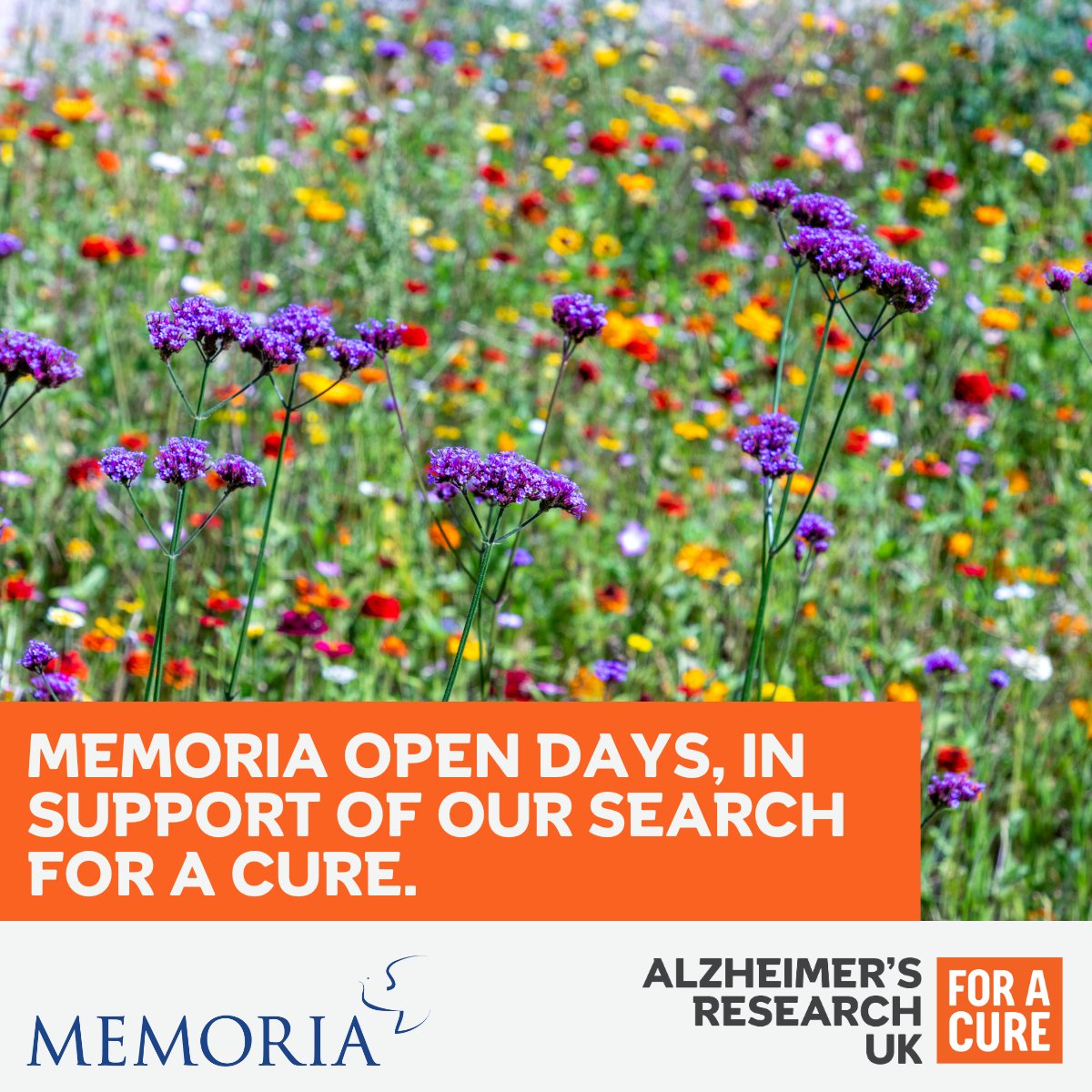 This summer, our partner Memoria Funerals will open their doors to give communities the chance to come together to sow wildflower seeds in memory of loved ones. See where your closest event is taking place, here: memoria.org.uk/memoria-open-d…