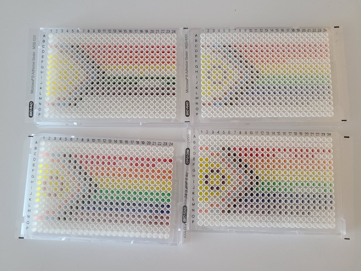 Dr Kendra Maas (not that kind of dr) tweet media