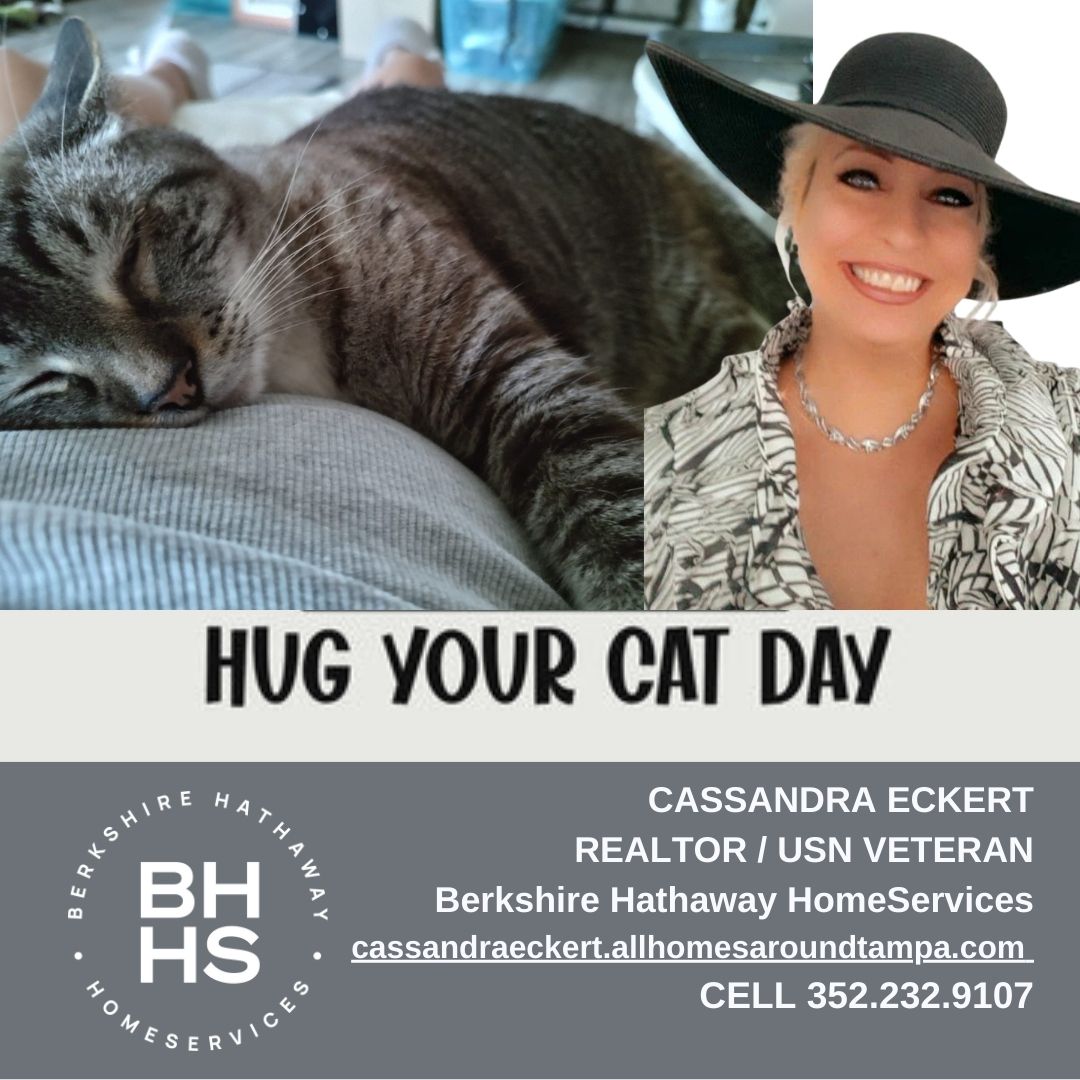 Happy National Hug Your Cat Day! 🐈 When National Hug Your Cat Day rolls around each year on June 4th, the purr-fect opportunity presents itself for some snuggle time. 
#HugYourCatDay   #Holiday   #June4th   #NationalHugYourCatDay   #CatDay   #Cat