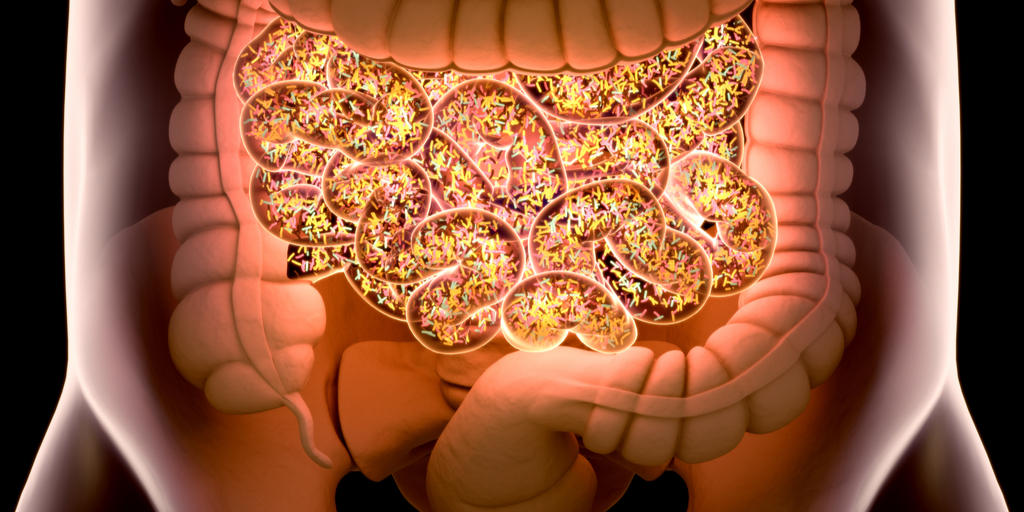 Studies show that the balance of bacteria in the gut microbiome may affect your emotions and the way your brain processes information from your senses, like sights, sounds, flavors, or textures. wb.md/3qkonOL