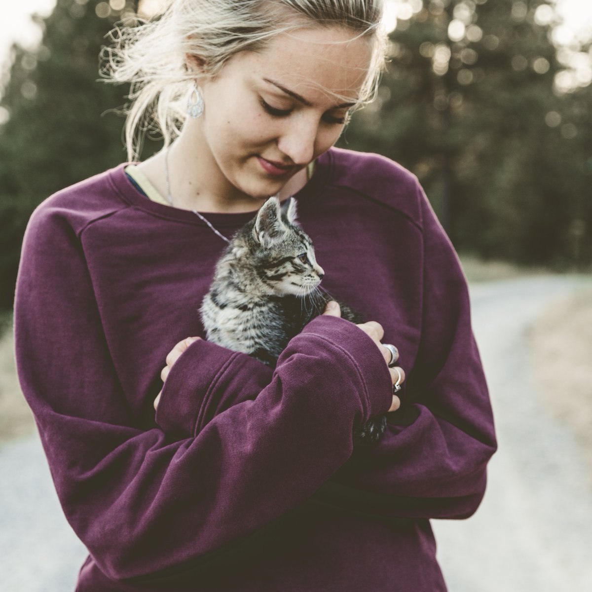 National Hug Your Cat Day!
Embrace your little bundle of furry joy and take some time to appreciate them. Of course, if they don’t want to be hugged, you may need some 
#national #instacat #catday #veterinarian #vetlife #dogs #cats #pets #veterinarymedicine #veterinaryhospital