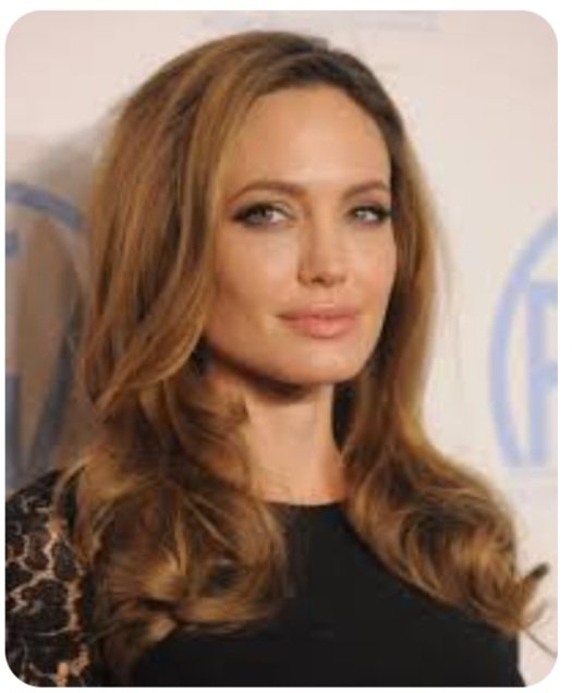 Today Angelina Jolie Is Celebrating Her Birthday.  

Angelina Jolie  is an American actress, filmmaker, and humanitarian. The recipient of numerous accolades, including an Academy Award and three Golden Globe Awards. 

#AngelinaJolie 
#americanactress 
#sajaikumar