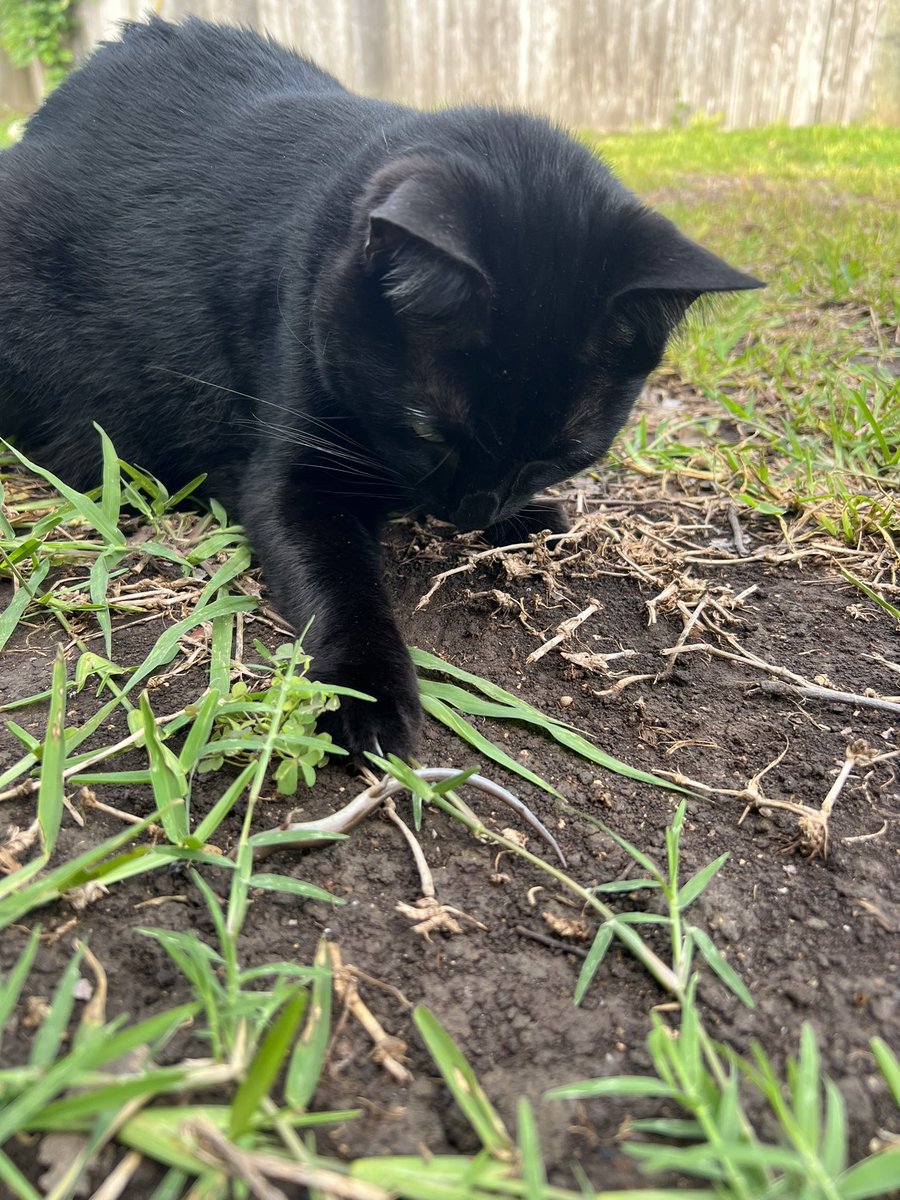 baker (@xcbakr) on Twitter photo 