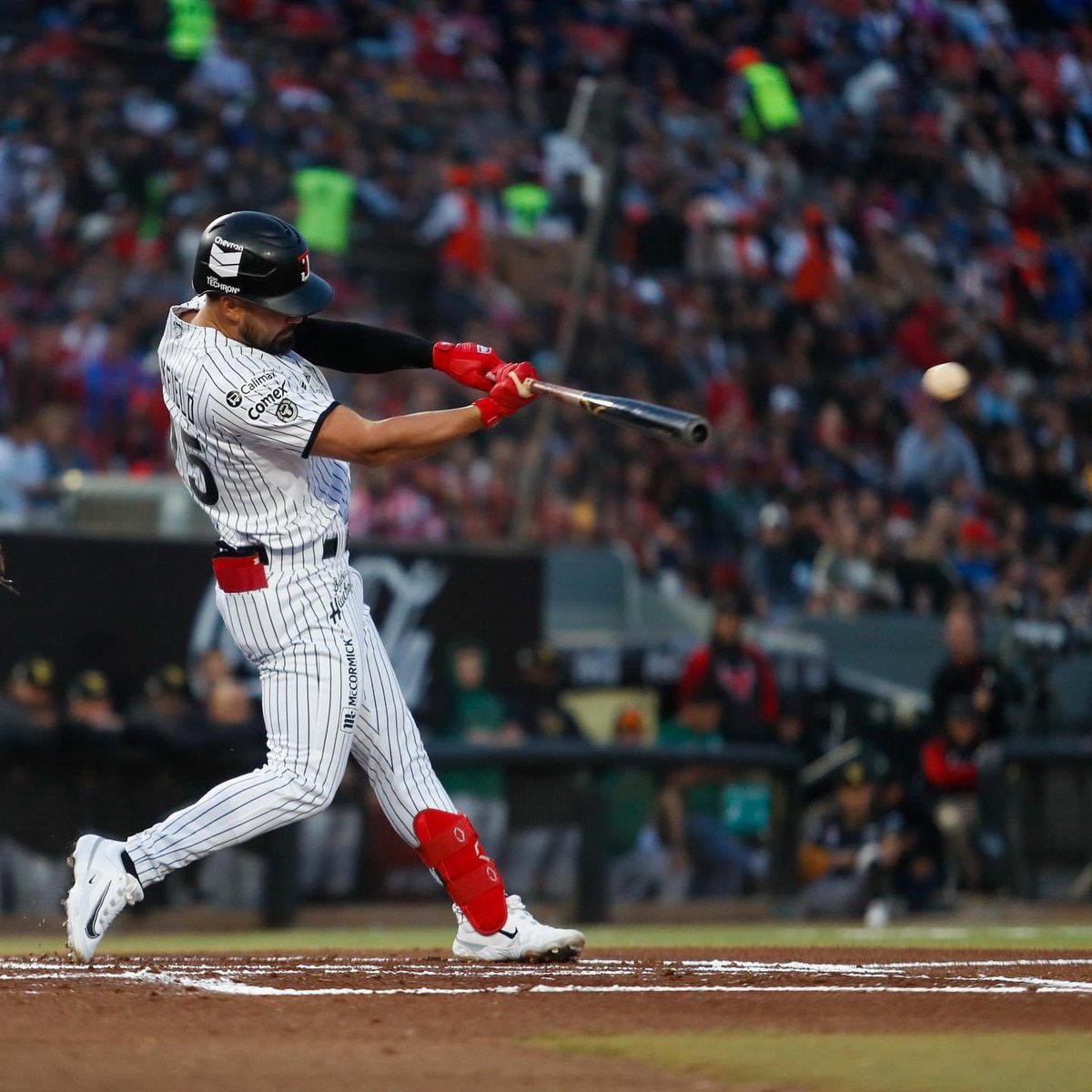 ToroLandia! 🐂 
<a href="/VictusSports/">Victus Sports</a> 
<a href="/FranklinSports/">Franklin Sports</a>