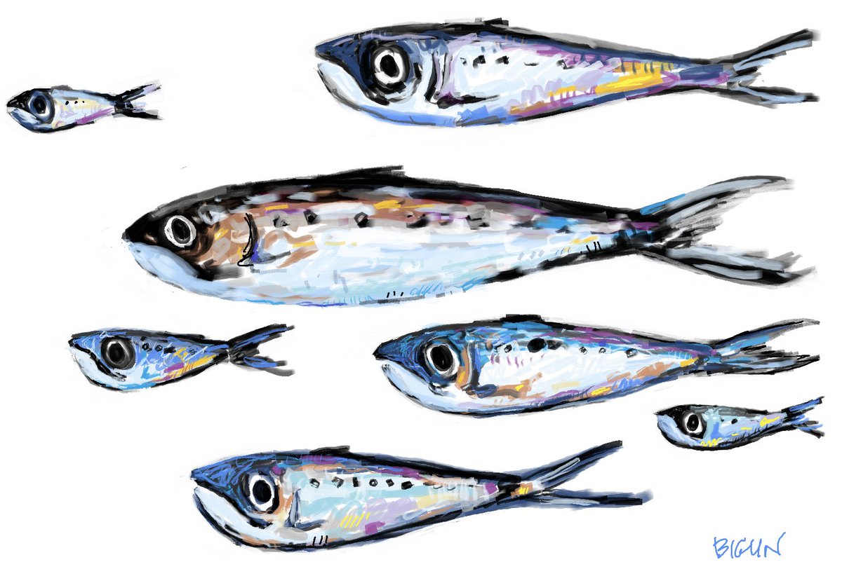 BiglinDanielle's tweet photo. #SundayFishSketch https://t.co/osQjEla9uA