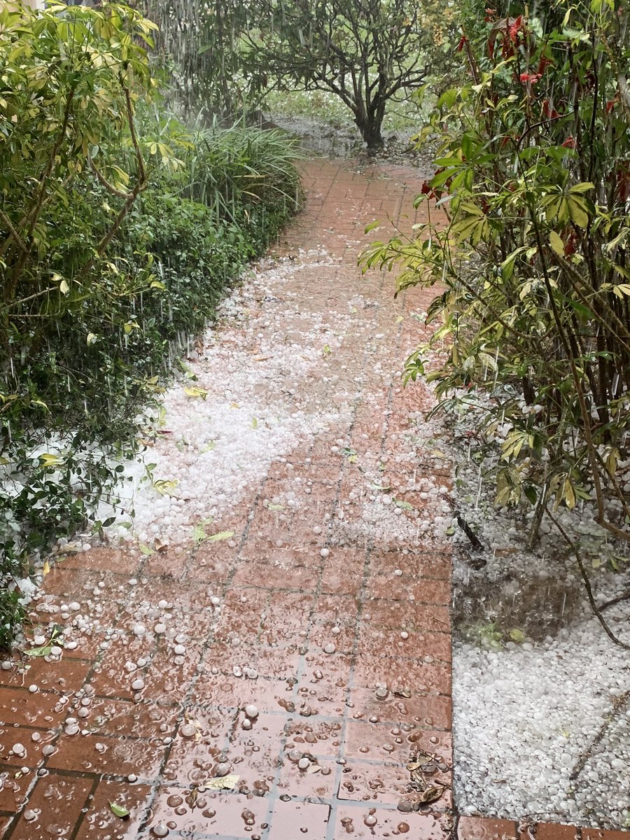 Hail Land O’Lakes <a href="/DenisPhillipsWx/">Denis Phillips</a> <a href="/BN9/">Spectrum Bay News 9</a> <a href="/WFLA/">WFLA NEWS</a>