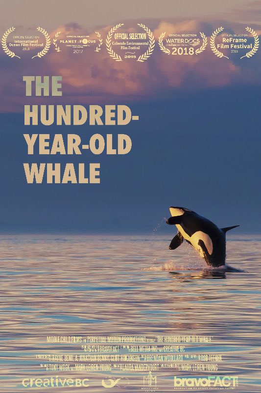 MobyDollMovie's tweet photo. The Hundred-Year-Old Whale now streaming on Typhoon on Demand 
#Granny #orcas

https://t.co/L0MrQ6XGtR https://t.co/DQoWhWFayX