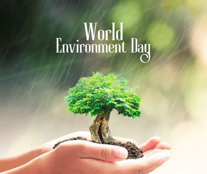 @UNEP_Africa @RobertaAnnan @RockyDawuni @CazeauHue @OlumideIDOWU @WorldBankAfrica @JamesWakibia @BanPlasticsNow @ClimateWed @EndPlasticsNow @UNEP #WorldEnvironmentDay 
#EnvironmentDay 
Mother nature 🌱🌴
This year's theme is #beat