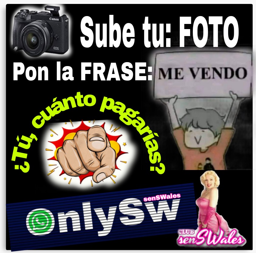 senSWales tweet media