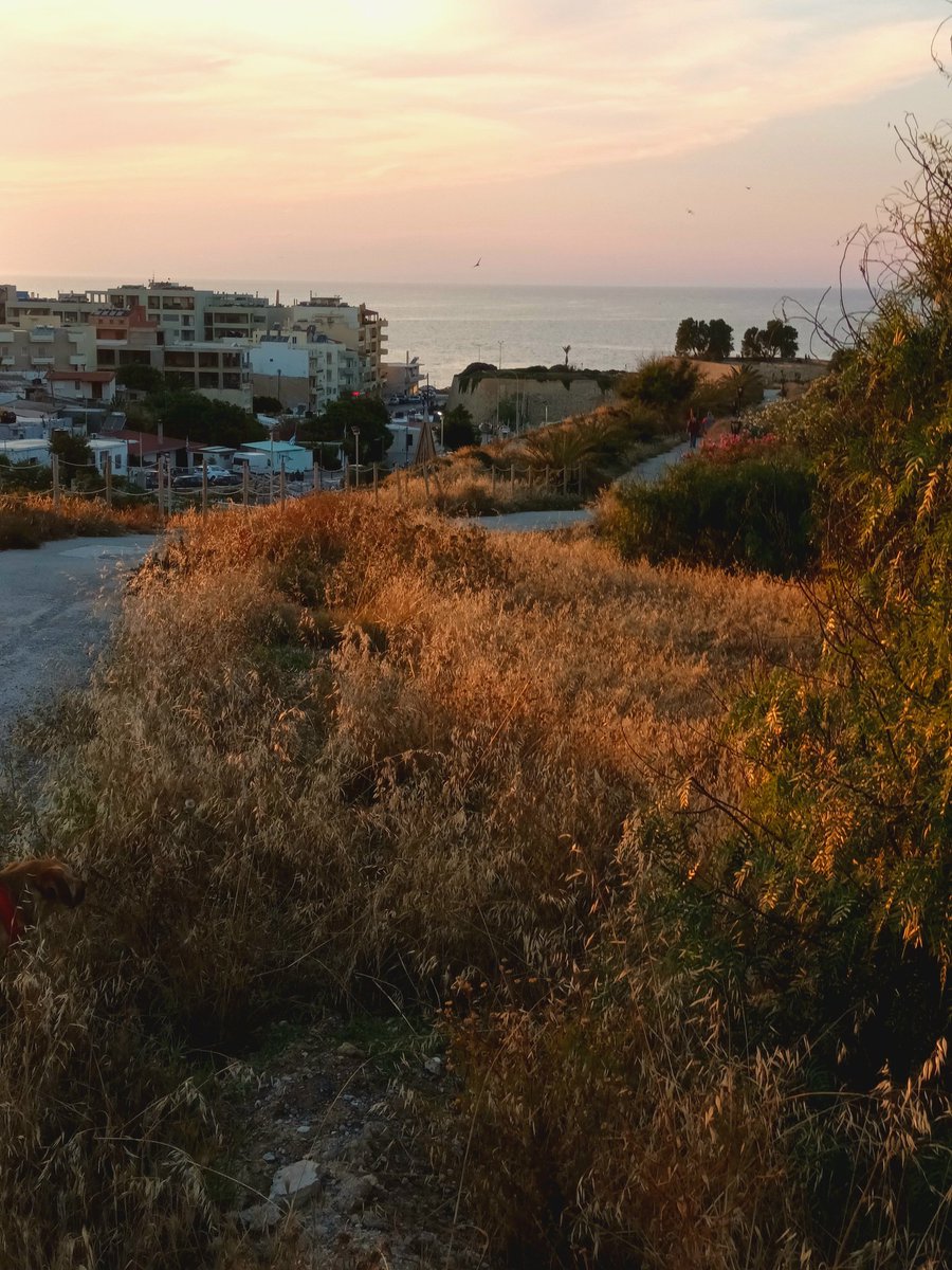 Back to old places...well, at least for a couple of days...

#dogwalk #dogwalking #walkthewalls #venetianwalls #crete #heraklion #heraklion_crete #photooftheday #photograph #phonephotography