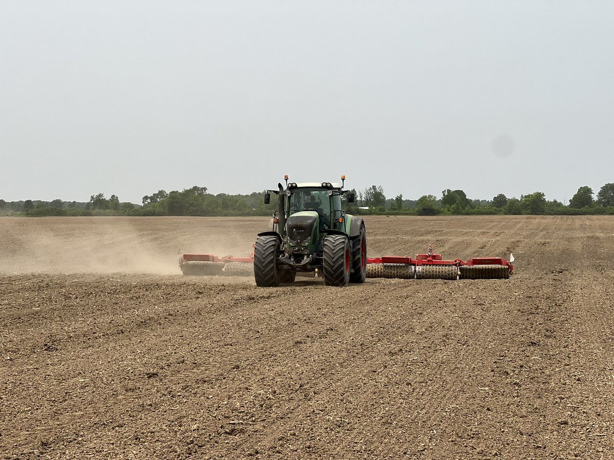 DJWassenaar's tweet photo. Getting dry out there 🙏🌧️ We planted organic beans and black turtle beans on this farm. Cultivate, pack and plant same day!!! Save what moisture we can while killing weeds 🤙🙏 https://t.co/AsOA1RPAYs