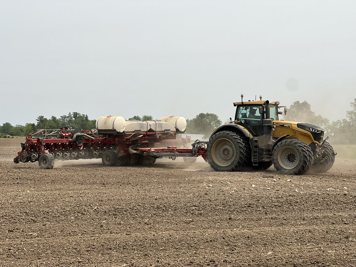 DJWassenaar's tweet photo. Getting dry out there 🙏🌧️ We planted organic beans and black turtle beans on this farm. Cultivate, pack and plant same day!!! Save what moisture we can while killing weeds 🤙🙏 https://t.co/AsOA1RPAYs