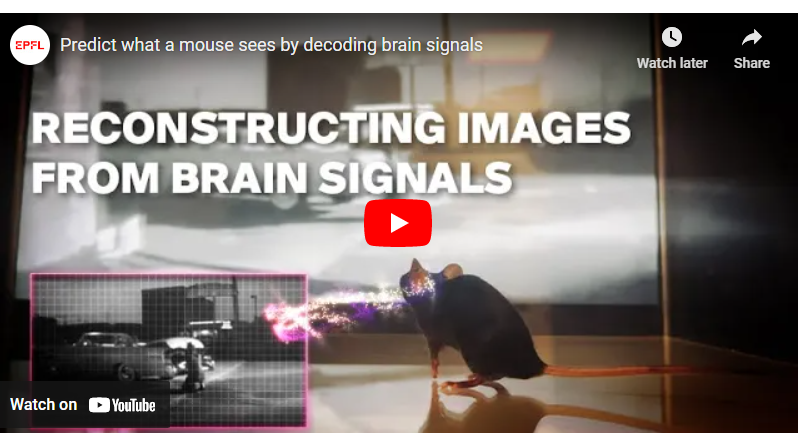 ZorzStudios's tweet photo. #Scientists use #AI to read #mouse's #brain and reconstruct #MovieClip it's watching https://t.co/xEqb363qGM | #PesalaBandara #ArtificialIntelligence #researchers #MachineLearningAlgorithm #MindReadingTechnology https://t.co/0bzFHbdeRO