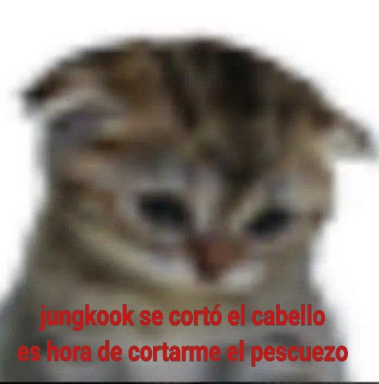 kei ⭑,, echo by jin (@agustdbeibi) on Twitter photo 