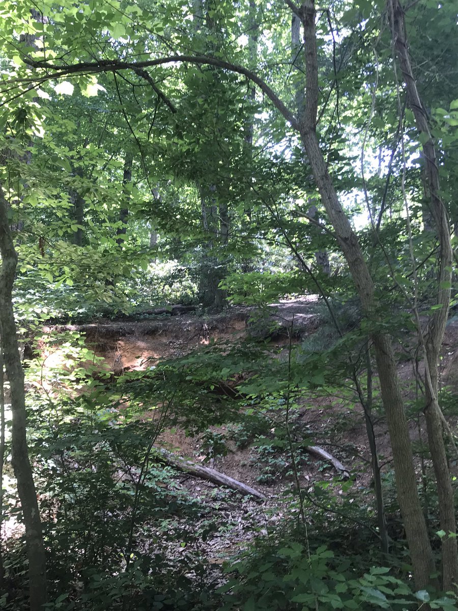 fortuneftg's tweet photo. What started as a beautiful walk with wild alongside the paths became an episode of Lost. Poorly marked paths that wound in circles, we joked we were going to die in the woods 😬😂 #NewJersey #LostAF #SundayFunday https://t.co/pHsZfqTKfk