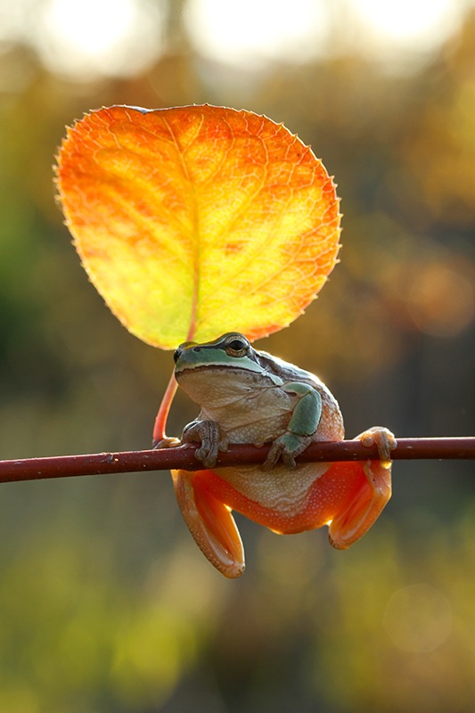 Se acaba el fin de semana , ahora ya solo queda descansar lo que queda de día y seguir soñando y tramando con hacer el #caminodesantiago con #bicigrino . 

Si quieres #disfrutar a raudales y sin preocupación , lo puedes hacer con una de nuestras #ebikes de #alquiler ;)
