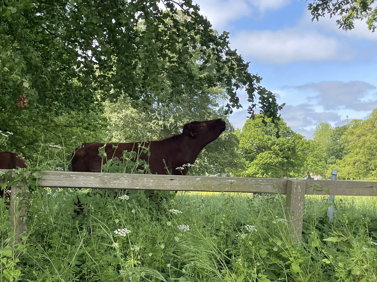 Gin tasting and Lincolnshire Red Beef rolls added to a superb guided tour of <a href="/southormsby/">South Ormsby Estate</a> on a Sunday morning in the <a href="/LoveLincsWolds/">Love Lincs Wolds</a>